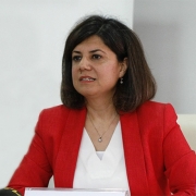 Prof. Dr. Emine Mısırlıoğlu